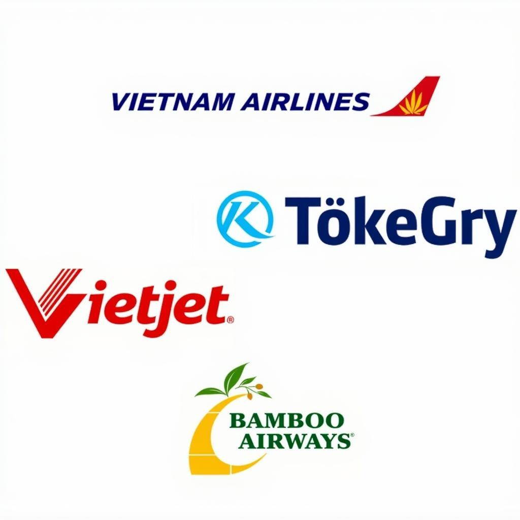 Airlines at Tuy Hoa Airport