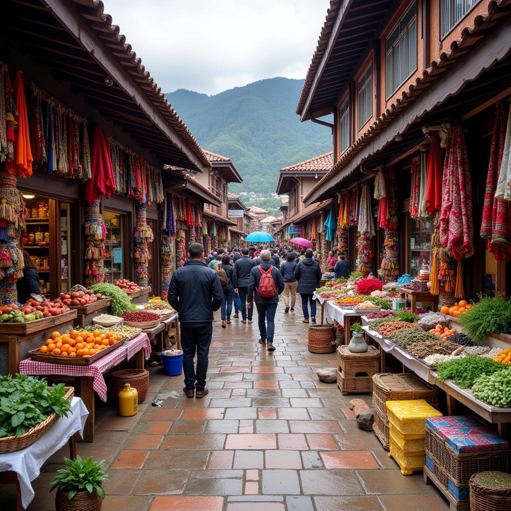 Sapa market