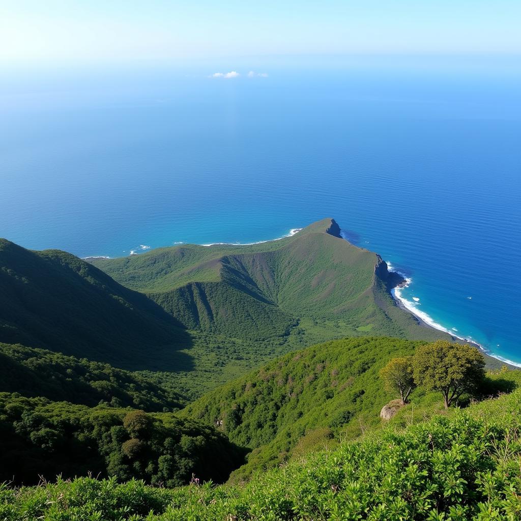 Jeju Island Natural Beauty