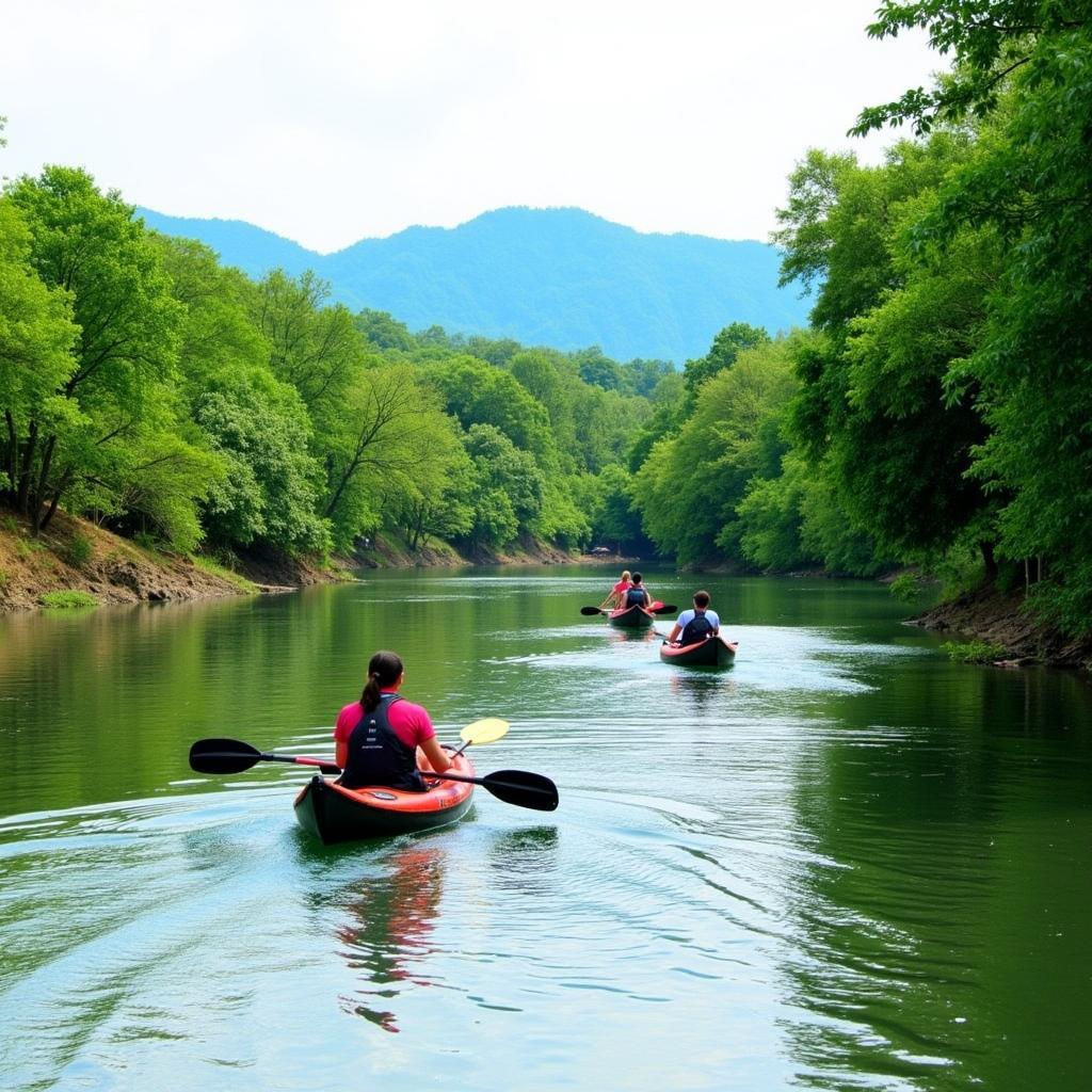 Du khách chèo thuyền kayak trên sông tại khu du lịch Cồn Sơn Cần Thơ