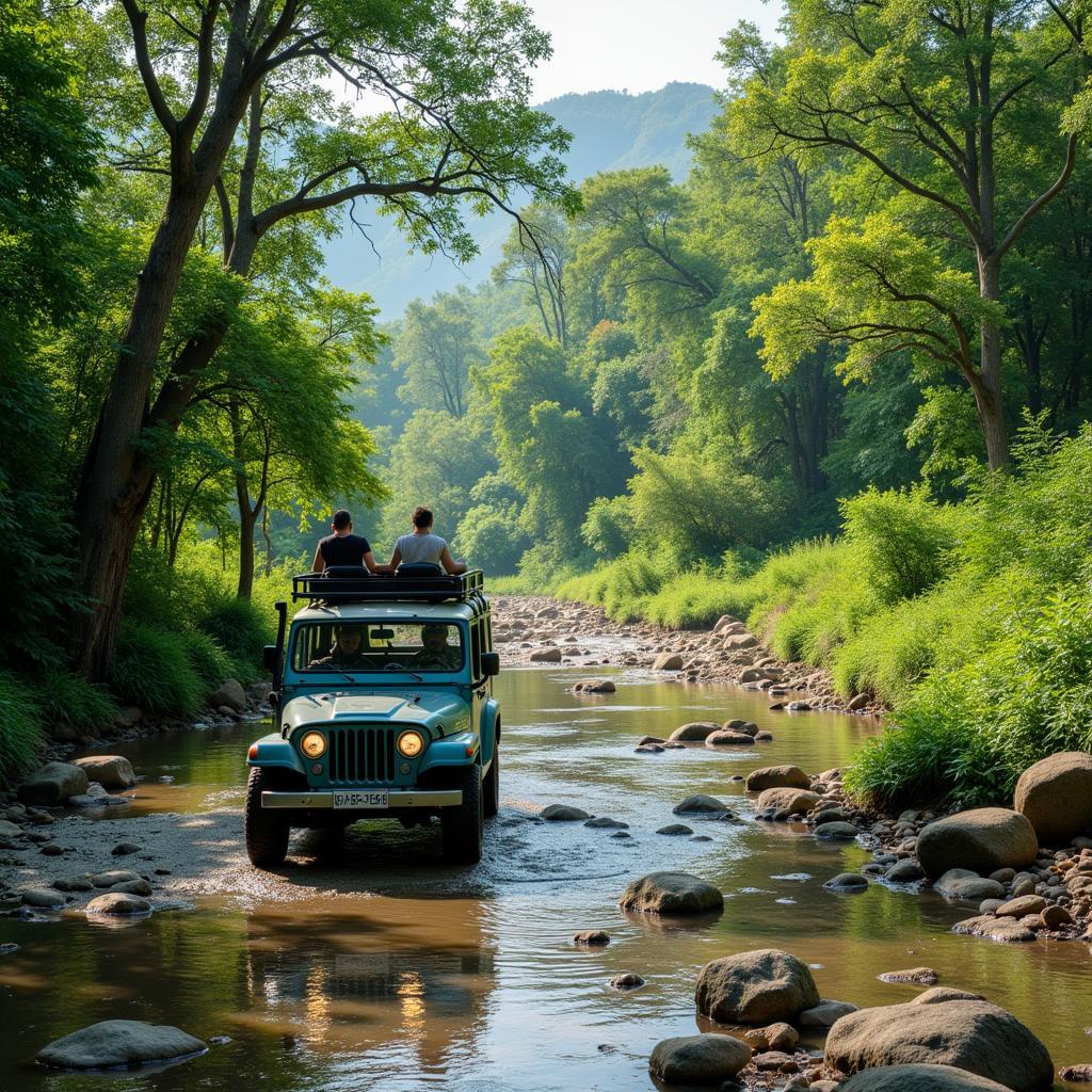 Rừng Cát Tiên với cây cối xanh tươi, hệ động thực vật phong phú, du khách khám phá bằng xe jeep.