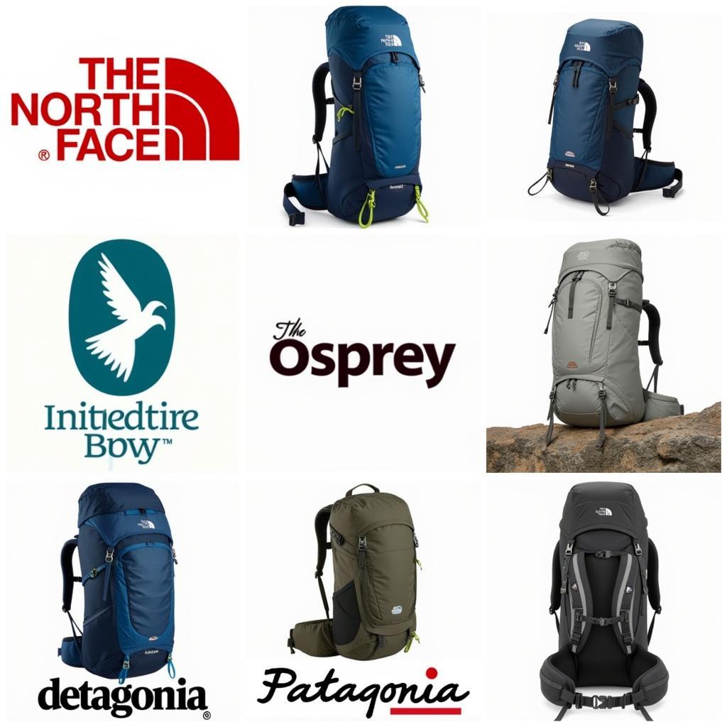 Logo của các thương hiệu balo nổi tiếng thế giới như The North Face, Osprey, Deuter, Patagonia. Hình ảnh sản phẩm balo của các thương hiệu này.