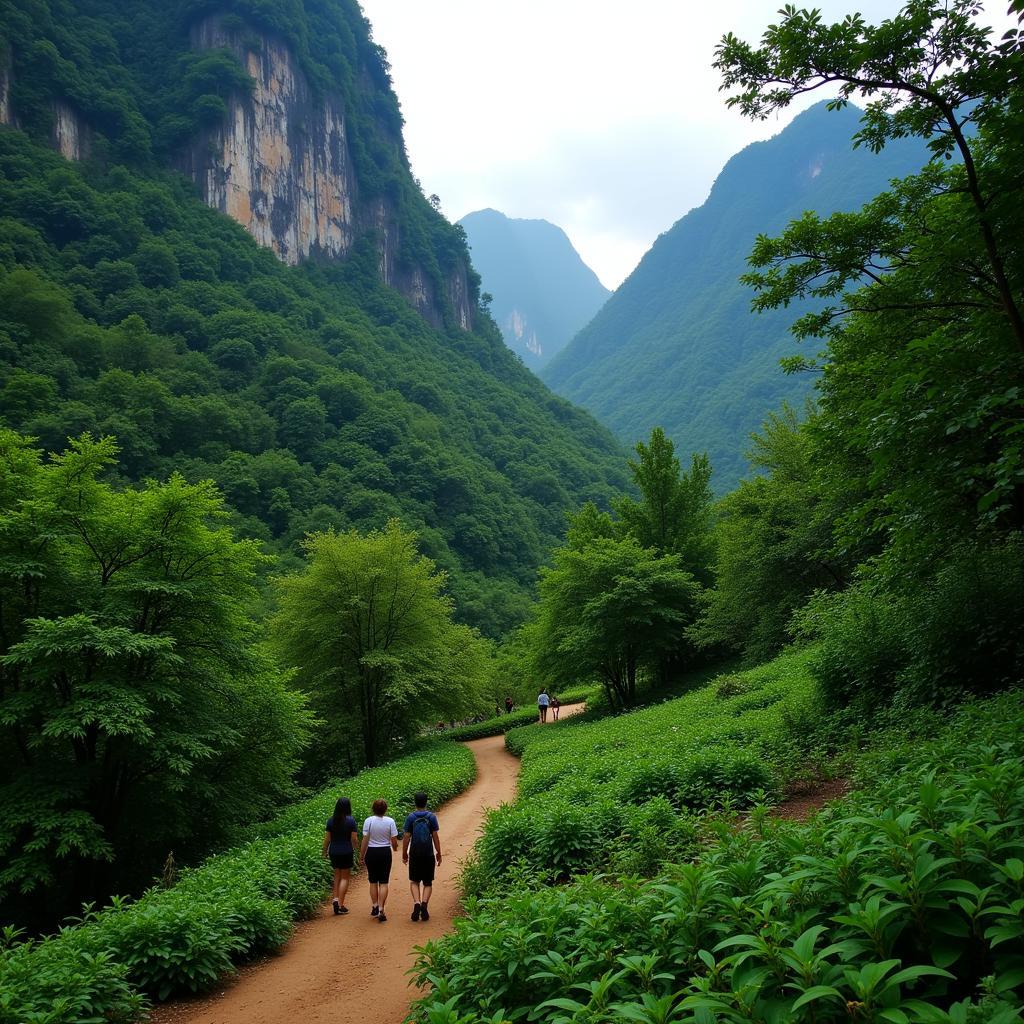 Vườn quốc gia Phong Nha - Kẻ Bàng